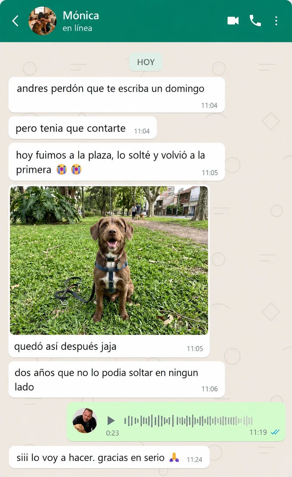 Mensaje de Mónica
