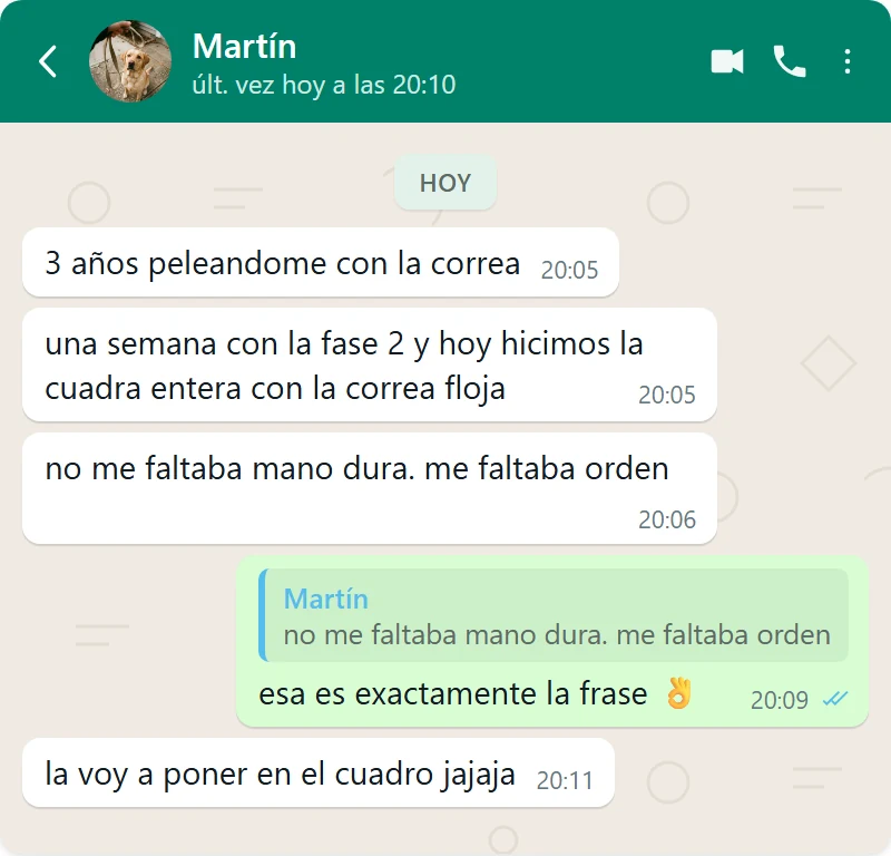 Mensaje de Martín