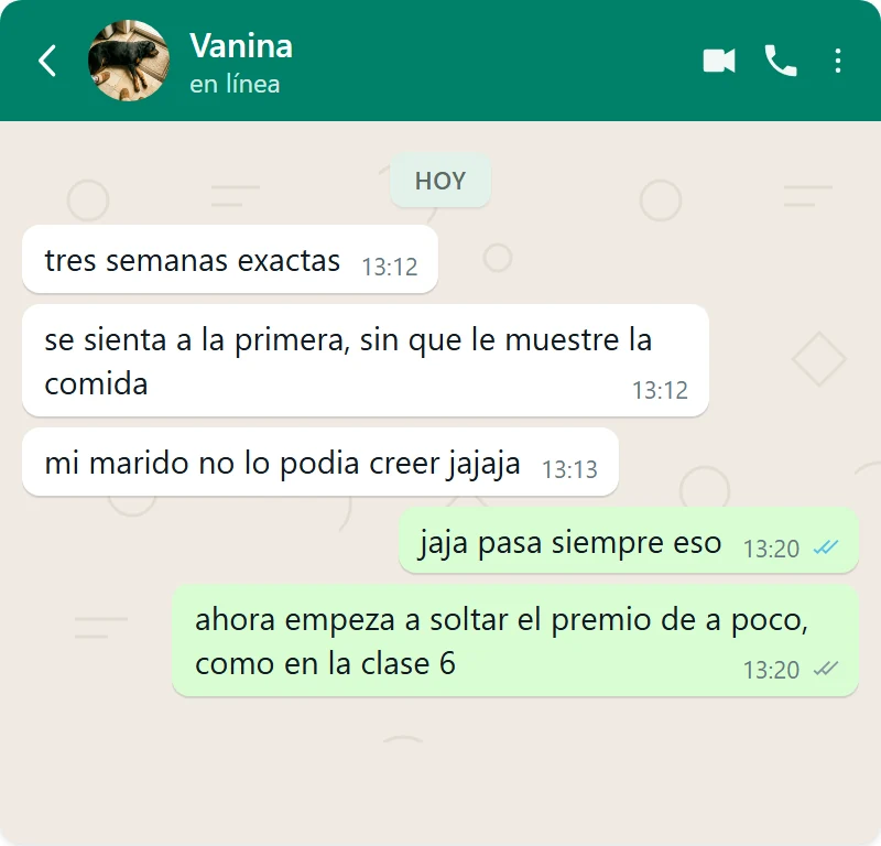 Mensaje de Vanina