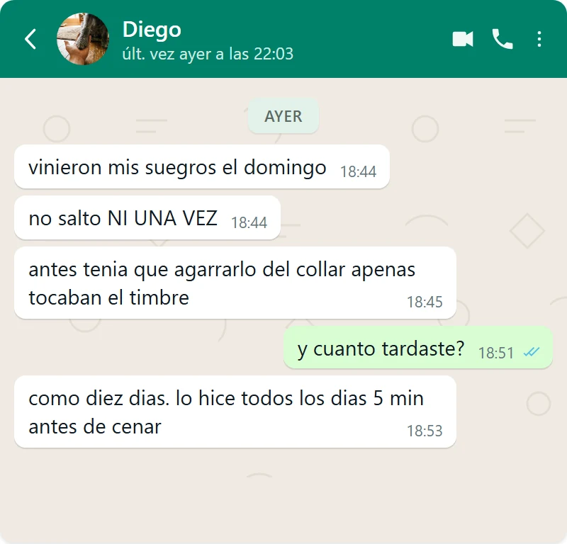 Mensaje de Diego