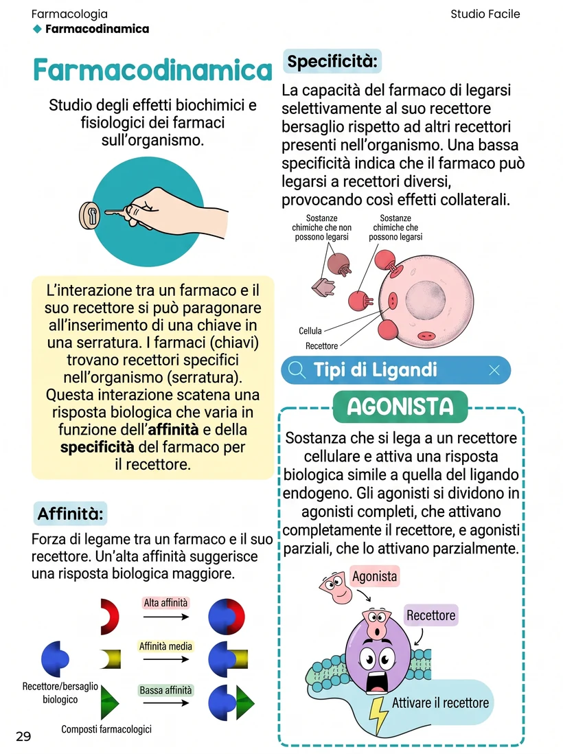 Pagina di esempio: schema visivo del materiale