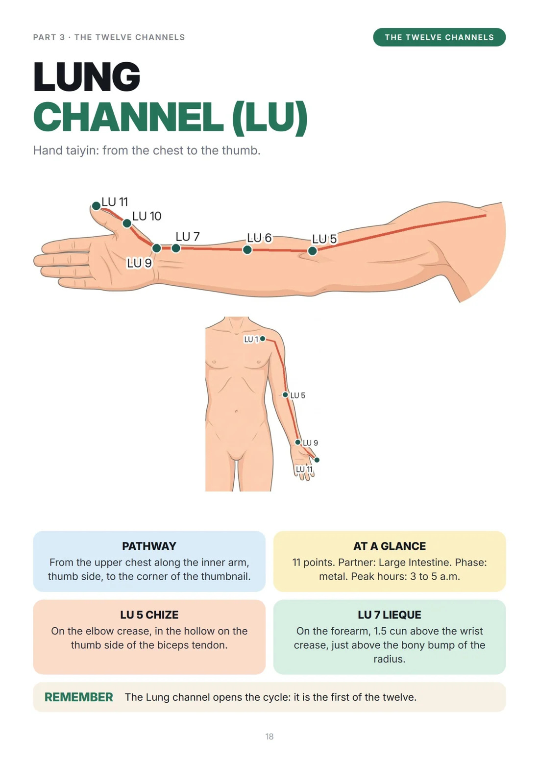 Lung channel