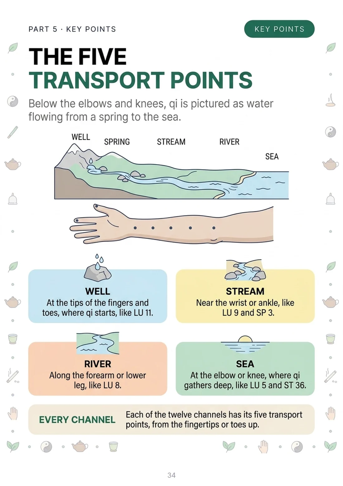 The five transport points
