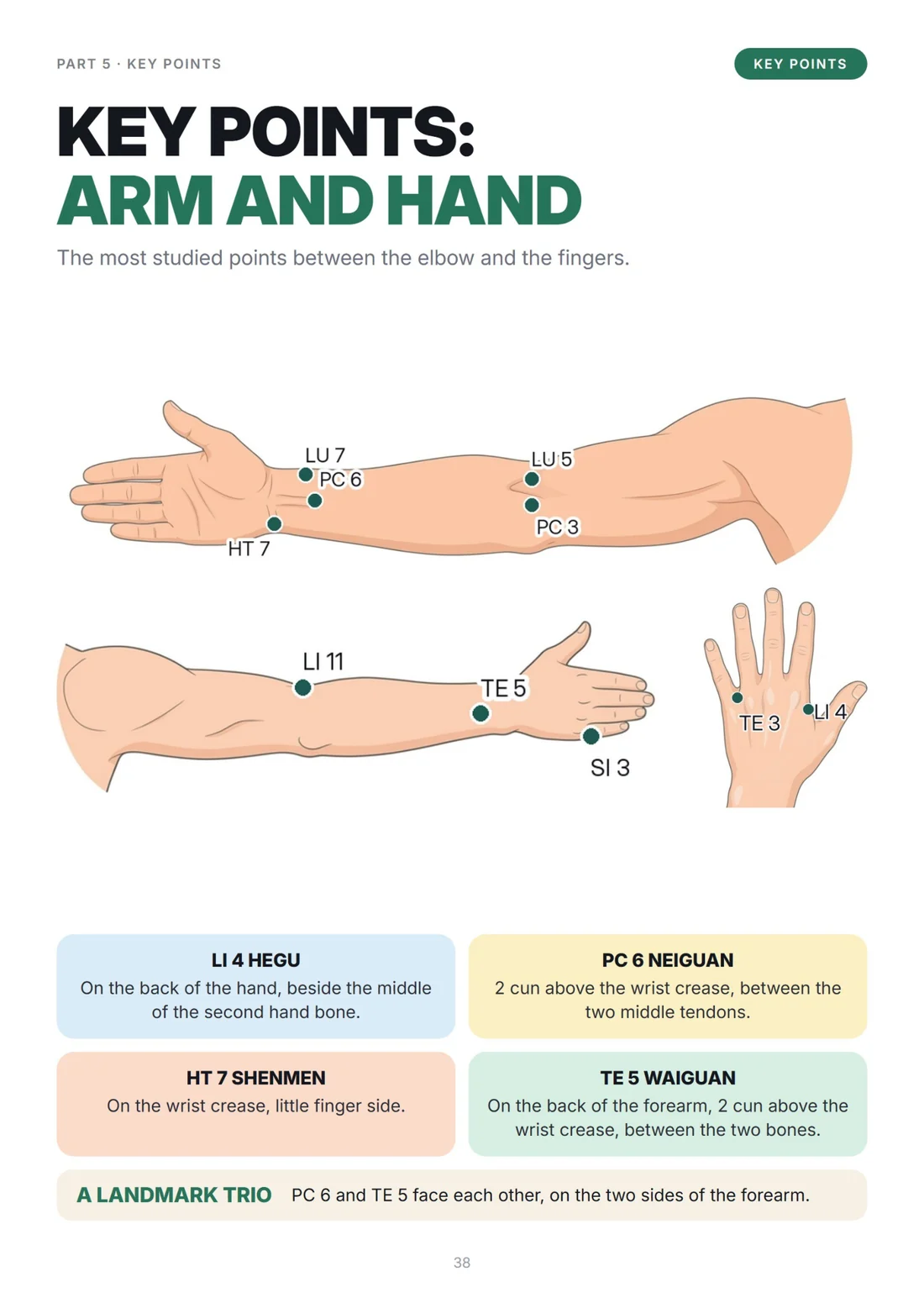 Key points: arm and hand