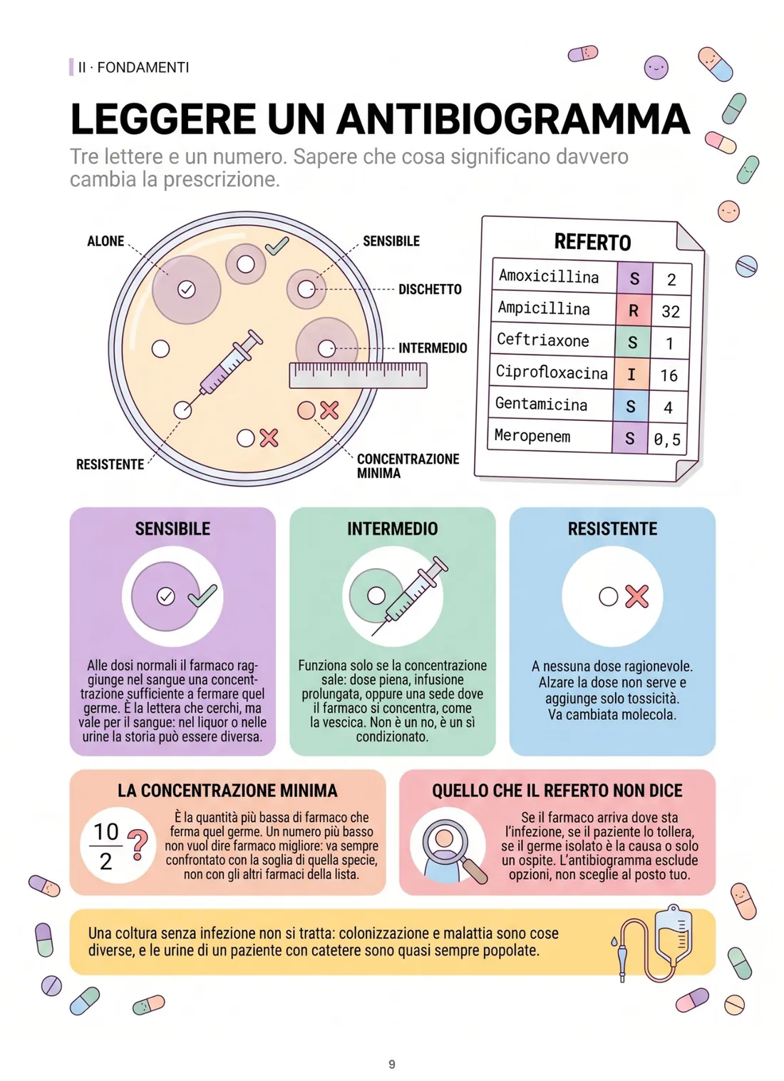 Leggere un antibiogramma