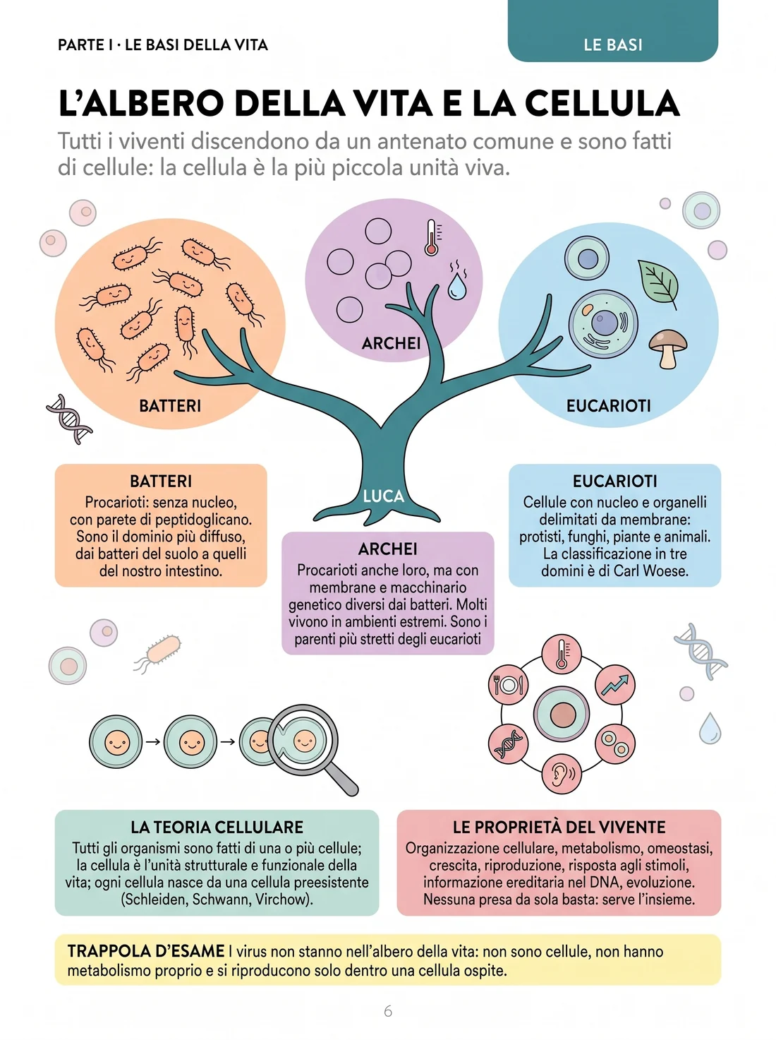 L'albero della vita e la cellula