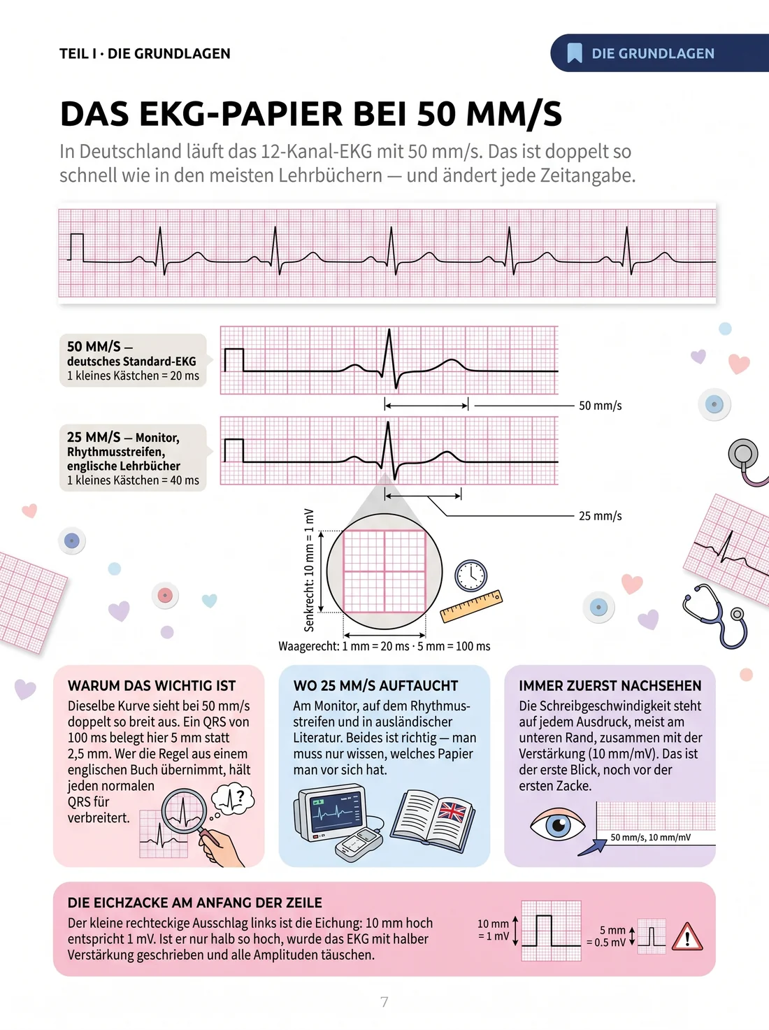 Das EKG-Papier bei 50 mm/s