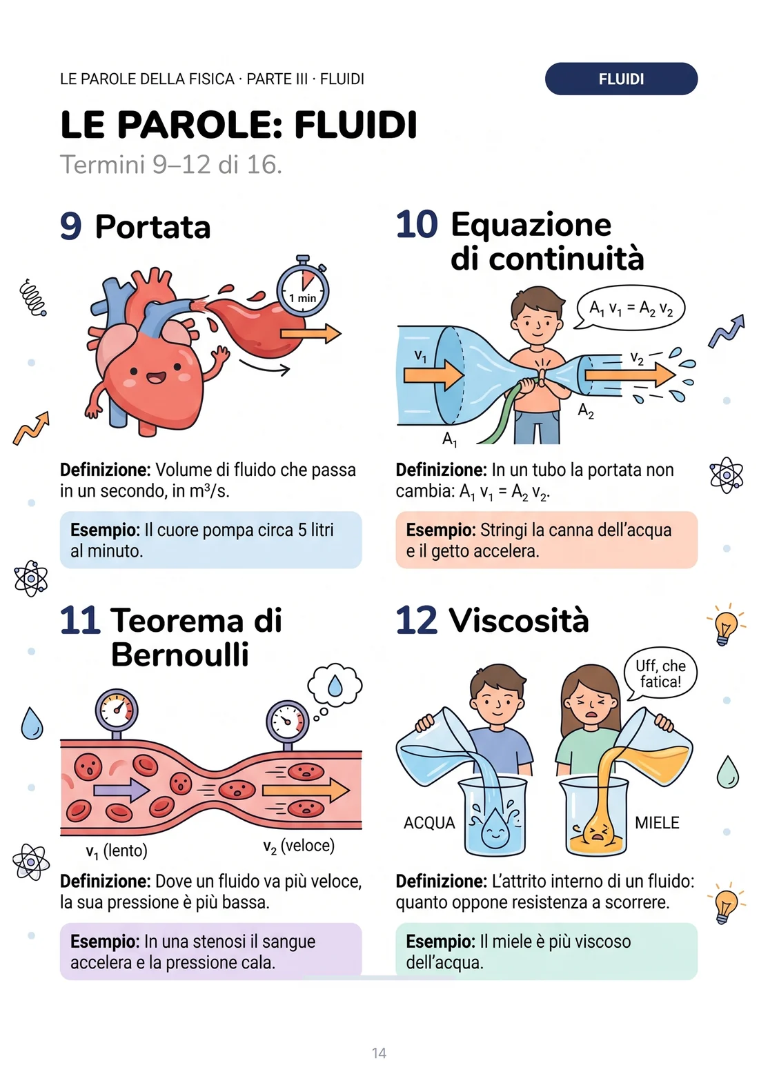 Portata, continuità, Bernoulli e viscosità