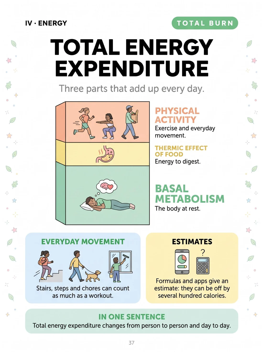 Total energy expenditure