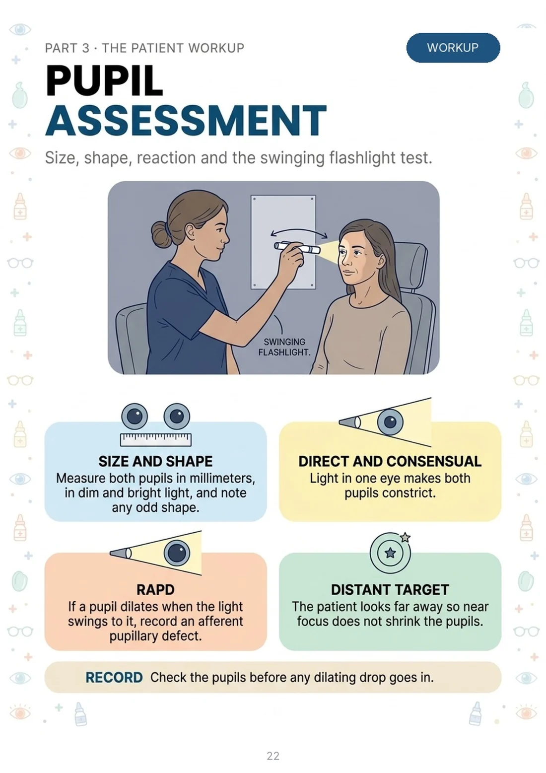 Pupil assessment