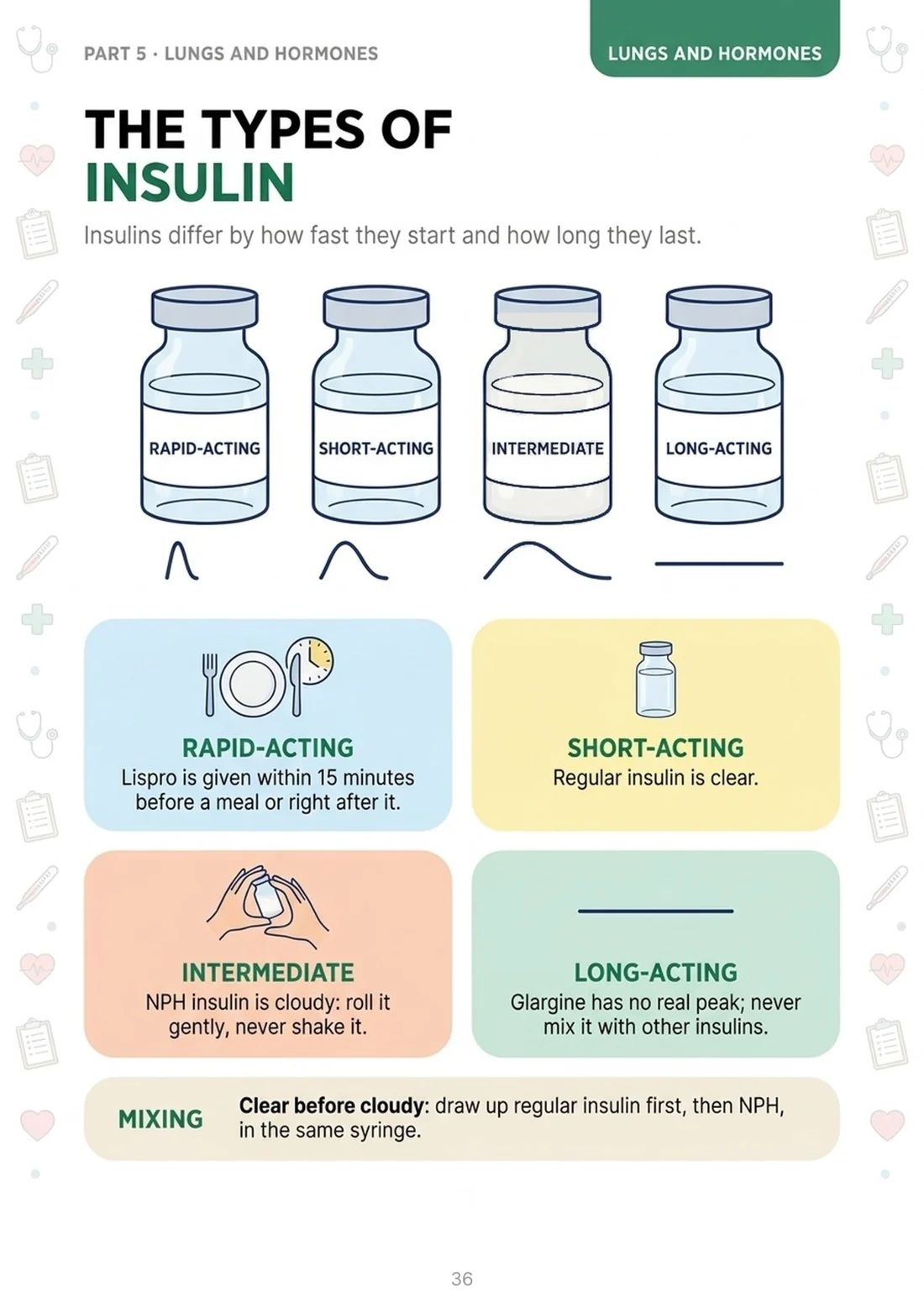 Insulin
