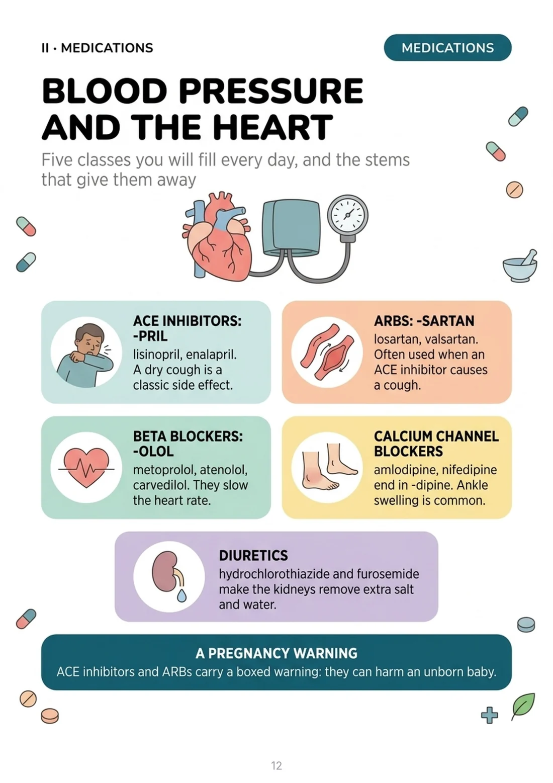 Blood pressure and the heart: five classes and their stems