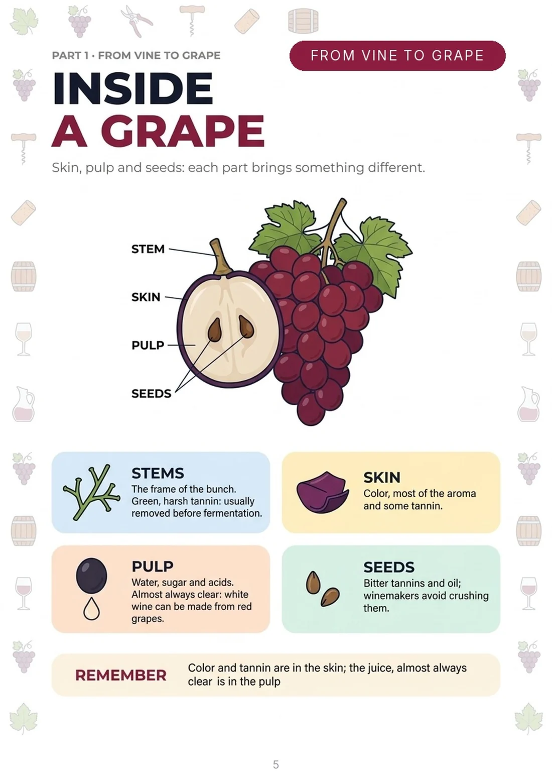 Inside a grape