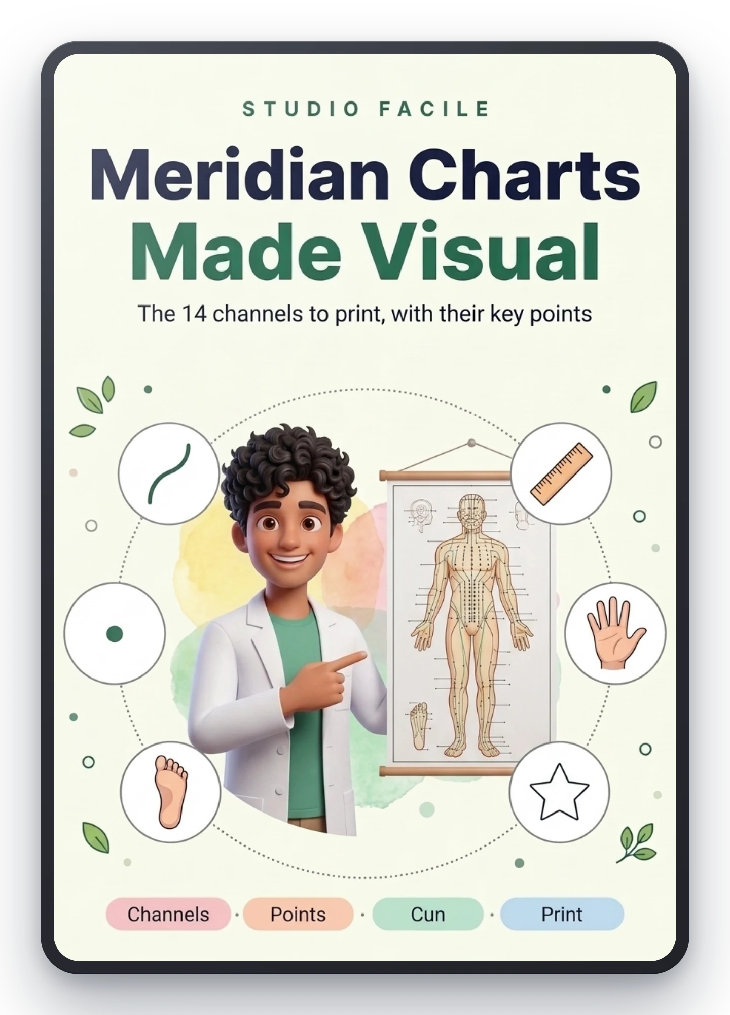 Meridian Charts Made Visual