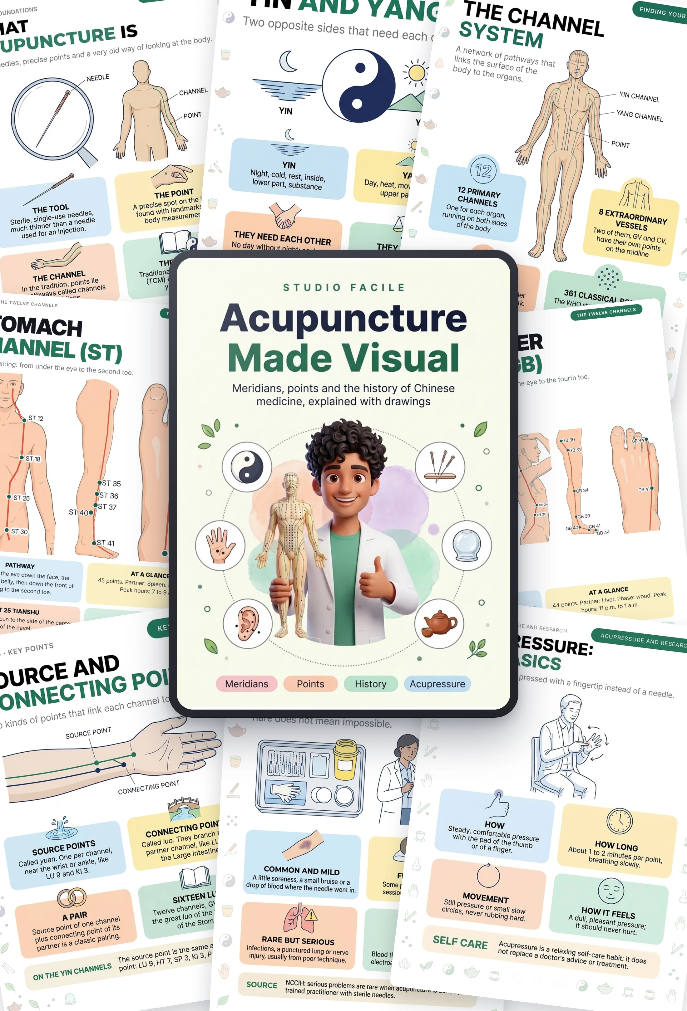 Acupuncture Made Visual: the book and sample pages