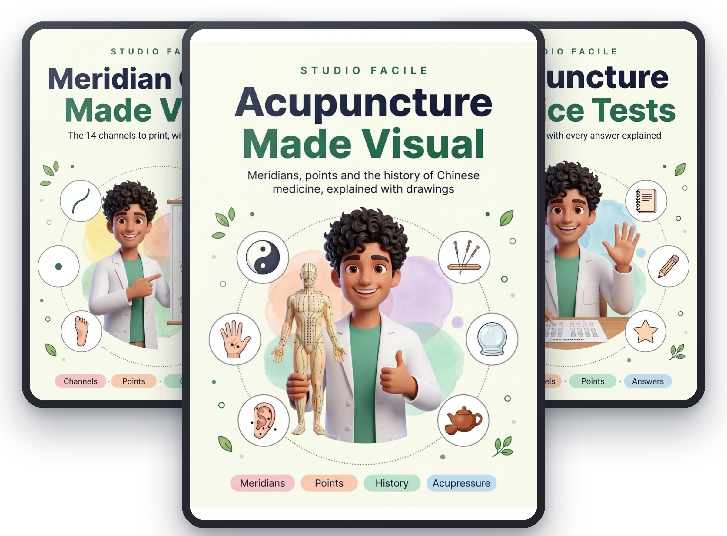 Acupuncture Made Visual, with Meridian Charts Made Visual and Acupuncture Practice Tests free