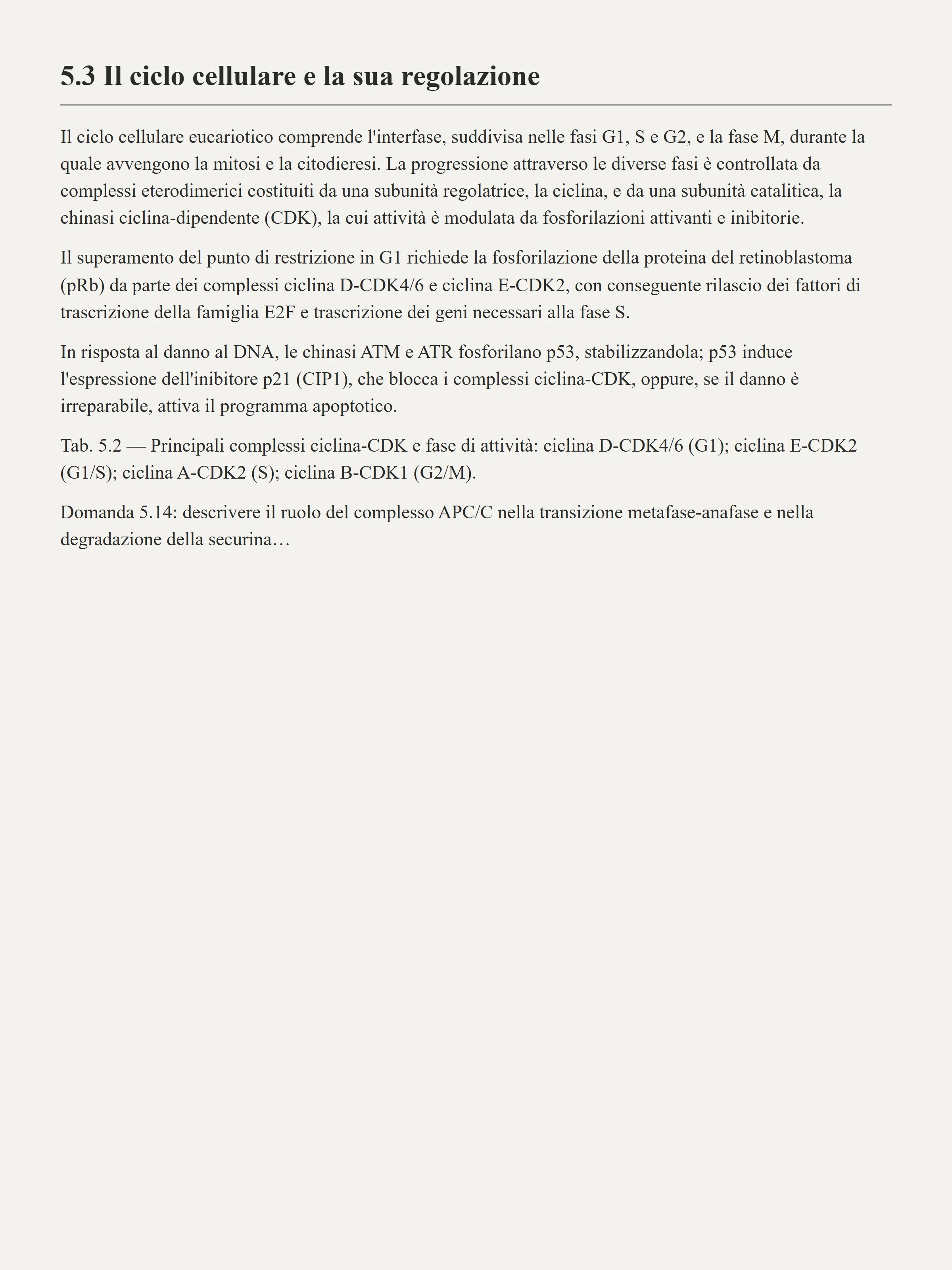 Pagina di un manuale tradizionale: testo fitto, nessuna illustrazione