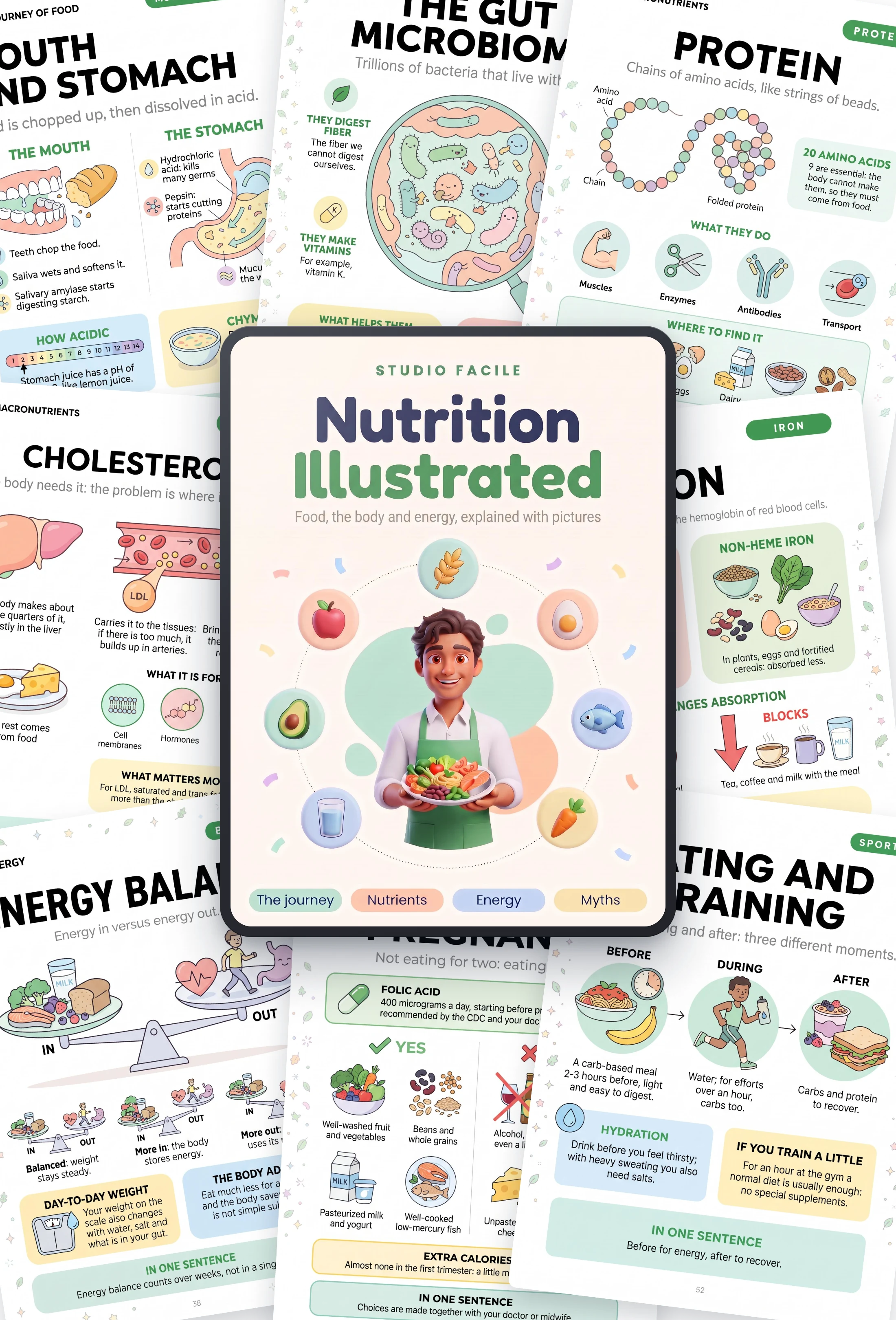 Nutrition Illustrated: the book and sample pages