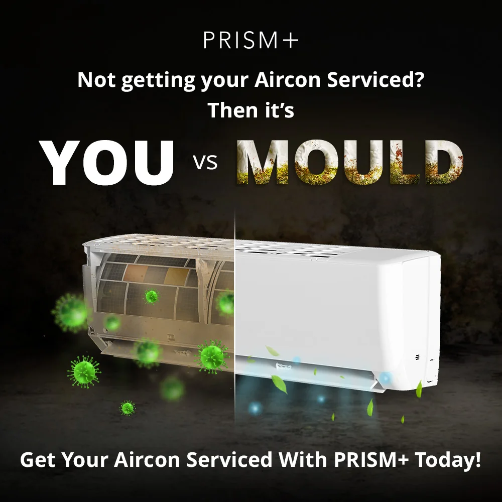 nosotros vs ellos visual — PRISM+
